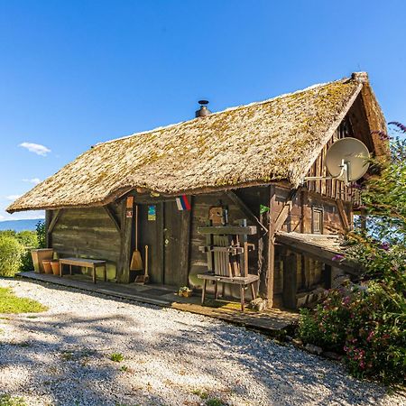 Vineyard Cottage Skatlar Otočec Exterior foto