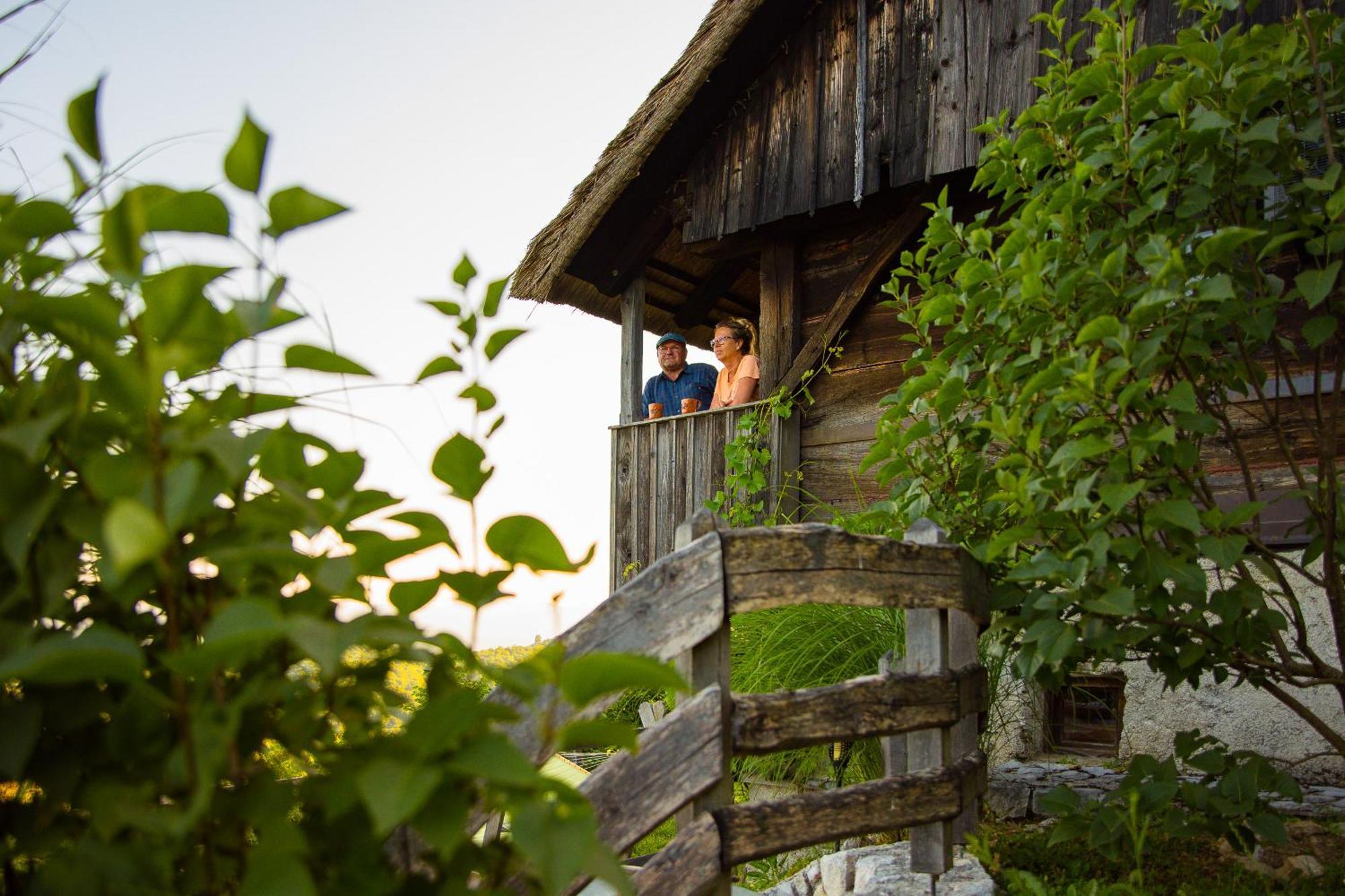 Vineyard Cottage Skatlar Otočec Exterior foto
